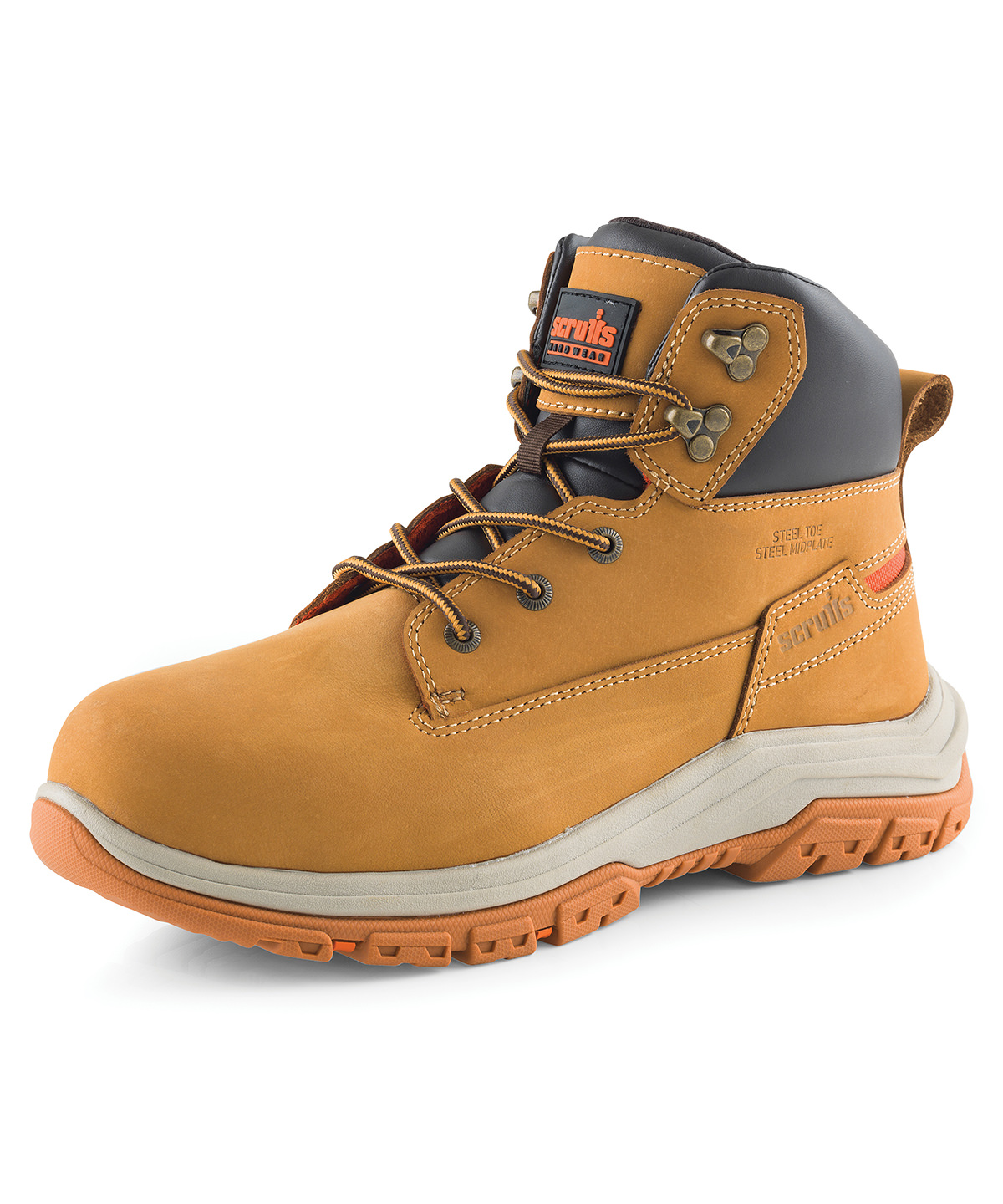 SH082_LS23_2025.jpg