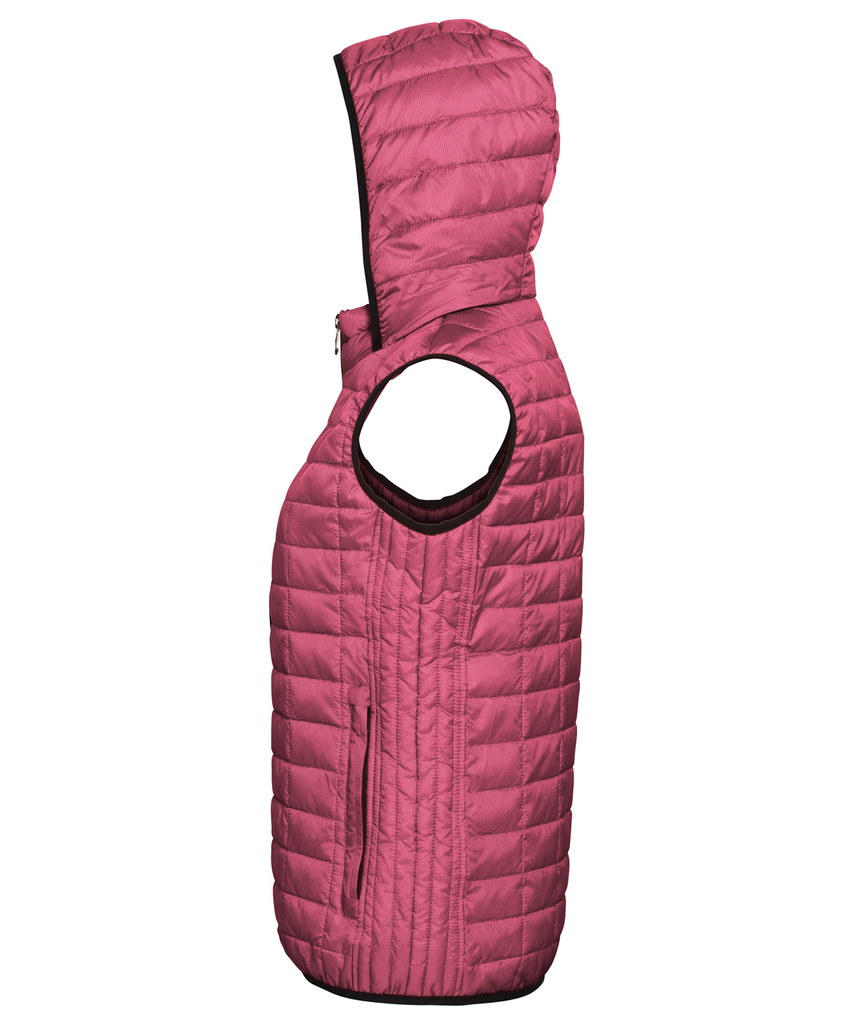TS24F_LS21_2023.jpg